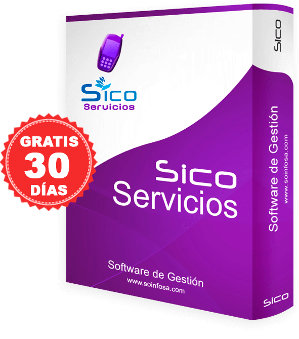 Software para Empresas de Servicios e Intangibles en Chile